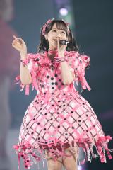 ���{����� �ʐ^:���V�������E�i�A�X�D�O�A���c���A�n�^�T�g�V�A�㓡�s���Y�A����� 