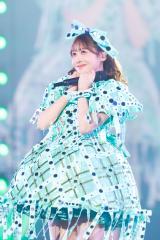 �N��D�� �ʐ^:���V�������E�i�A�X�D�O�A���c���A�n�^�T�g�V�A�㓡�s���Y�A����� 