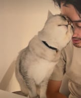 �f���f���ȗl�q�̕v�ƔL/�v�ƔL�B(@nekotootto)����� 