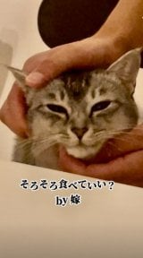 �u��������ԁv�Ɩ{�C�Ŏv���Ă������ȔL�����/�v�ƔL�B(@nekotootto)����� 