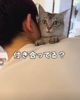 �܂�œ������Ă���ޏ��̂悤�ȔL�����/�v�ƔL�B(@nekotootto)����� 