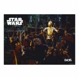 H��:�|�X�^�[(�S10��) 