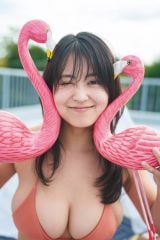 �wPARADE�x2026�~���ɓo�ꂵ�����䗜仉� 