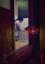 �f��w�∤�x�i6�����J�j�C�O�Ń|�X�^�[�r�W���A�� �iC�j2026�u�∤�v����ψ��� 