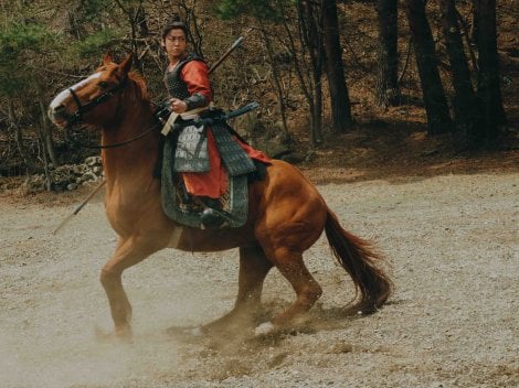 �A���h���}�w�k�����O�@�����`�x2��15�������E�z�M�X�^�[�g�iC�j�k�����O�^�W�p�Ё@�iC�j2026WOWOW�^NTT�h�R�� 