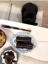 �u�b�������̂悤�ȃ}���V�����v������q�����J�����A�ߕ��̓��̂��������͂�(�ʐ^�̓u���O���) 