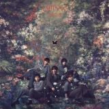 �V���O���uUSOTSUKI�v�W���P�b�g(�����B) 