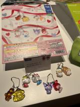 �����O�̃K�`�� (C)ORICON NewS inc. 