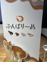 �w�K�`�����W �[ �̂������сA�[���n�}��B�x �̖͗l (C)ORICON NewS inc. 