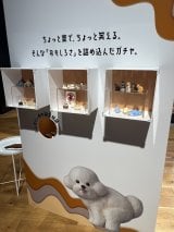 �w�K�`�����W �[ �̂������сA�[���n�}��B�x �̖͗l (C)ORICON NewS inc. 