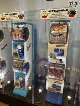 �w�K�`�����W �[ �̂������сA�[���n�}��B�x �̖͗l (C)ORICON NewS inc. 