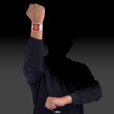 �w���z����T���o���J���x����DX�Łw�o���J���u���X -MEMORIAL EDITION-�x������ (C)���f 