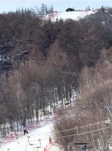 �u���̕���v�������T��16�Α��q(�������T�I�t�B�V�����u���O���) 