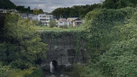 �ِF�h�L�������^���[�w�n�[�g�t�����[���h�x�iC�jCBC�e���r 