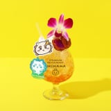 �y�������z�V�[�T�[�̂���҂񒃃g���s�J���h�����N�A�N�����L�[�z���_�[�t��                 