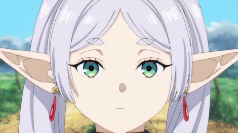 �e���r�A�j���w�����̃t���[�����x�̏�ʃJ�b�g�iC�j�R�c���l�E�A�x�c�J�T�^���w�ف^�u�����̃t���[�����v����ψ��� 