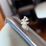 �z�R�����Ǝv������? �ˑR�����o���������t���t���̐��̂ɔ����u�d�����Ǝv�����v�u�Ȃ��^�ԃA�����Ǝv�����v 