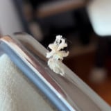 �n�S����(@oceanbe1001���) 