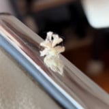 �n�S����(@oceanbe1001���) 