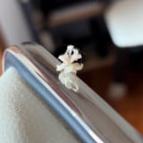 �n�S����(@oceanbe1001���) 