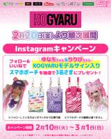 SNS�L�����y�[�� 