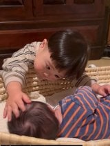 �Z���̎p�����āh���傤�����h�̗ǂ�����������l�����o/�_�E���ǂ̂��炽�܂邳��(@paracamp_art) 