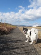 ��[�����E���c����2nd�ʐ^�W�w�z�����Ɓx�I�t�V���b�g�h�����̂����炿���Ɠ�l�ł��U�������Ƃ��U��Ԃ��ď΂��Ă��ꂽ�ʐ^�h 