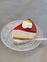 �n�Ӕ��ޑ�u�Ƒ��̂��߂Ɏ���o�����^�C��!�v(�ʐ^�̓u���O���) 