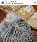 �Γc�Ђ���u20�N�Ԃ�̂����X�Â��� �����ł͏��߂�!�v(�ʐ^�̓C���X�^�O���� @hikaringo0525 ���) 