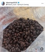 �Γc�Ђ���u20�N�Ԃ�̂����X�Â��� �����ł͏��߂�!�v(�ʐ^�̓C���X�^�O���� @hikaringo0525 ���) 