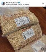 �Γc�Ђ���u20�N�Ԃ�̂����X�Â���v(�ʐ^�̓C���X�^�O���� @hikaringo0525 ���) 