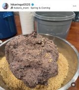 �Γc�Ђ���u20�N�Ԃ�̂����X�Â��� �����ł͏��߂�!�v(�ʐ^�̓C���X�^�O���� @hikaringo0525 ���) 