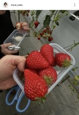 ���a�� �u�������Ƃ��������`�v(�ʐ^�̓C���X�^�O���� @inoue_waka ���) 