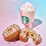 18�����X�^�o��SAKURA�t�[�h���o�� 