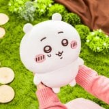 B��:�~�o!���E�ʂ������ 