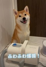 ���i�͂����Ƃ肵�Ă���Ƃ��������񂭂�/�����񂭂񂳂�(@shimon_0624)�� 