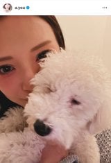 �l�肠��݂̈����E�~���N����(�ʐ^�̓C���X�^�O���� @a.you ���) 