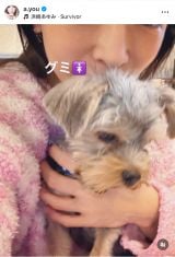 �u�䂪�ƂɐԂ����2�l������1�T�Ԃ��o�Ƃ��Ƃ��Ă��܂��v�l�肠��݂��}�����ꂽ�ی쌢�̃O�~�����(�ʐ^�̓C���X�^�O���� @a.you ���) 