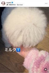 �u�䂪�ƂɐԂ����2�l������1�T�Ԃ��o�Ƃ��Ƃ��Ă��܂��v�l�肠��݂��}�����ꂽ�ی쌢�̃~���N����(�ʐ^�̓C���X�^�O���� @a.you ���) 