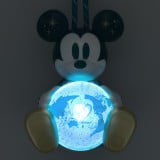 �u�����f�B�Y�j�[�V�[25���N�g�X�p�[�N�����O�E�W���r���[�h�v����O�b�Y(C)Disney 