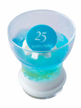 �u�����f�B�Y�j�[�V�[25���N�g�X�p�[�N�����O�E�W���r���[�h�v����t�[�h(C)Disney 