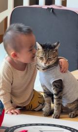 ���f���݂����ǎ󂯓���Ă���Mugi�����/�Č�Halu����(@halu4809)�� 