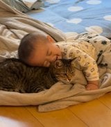 Mugi�����̂��Ƃ���D���ȐԂ����/�Č�Halu����(@halu4809)�� 