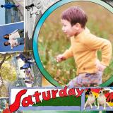 Mr.Children�A�V�ȁuSaturday�v2��21���z�M&MV���J �c�A�[�^�C�g���́wSaturday in the park�x�� 