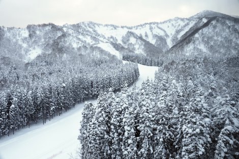 �N���X�J���g���[�Łu���v���S�[���i�ʐ^�̓C���[�W�j 