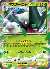 �w�|�P�|�P�x�V�p�b�N�u�p���f�A�����_�[�v�V�o�� 